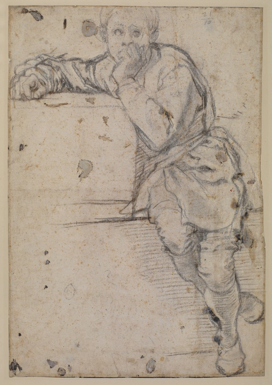 Seated youthdani af Jacopo Pontormo