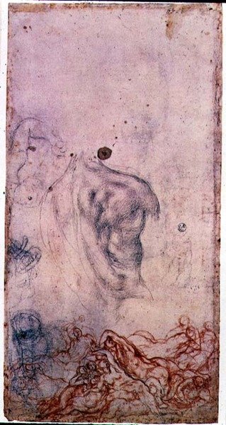 Studie til et portræt af Cosimo I Giovinetto med andre undersøgelser af vridende kroppe (sort og rødt kridt på papir) af Jacopo Pontormo