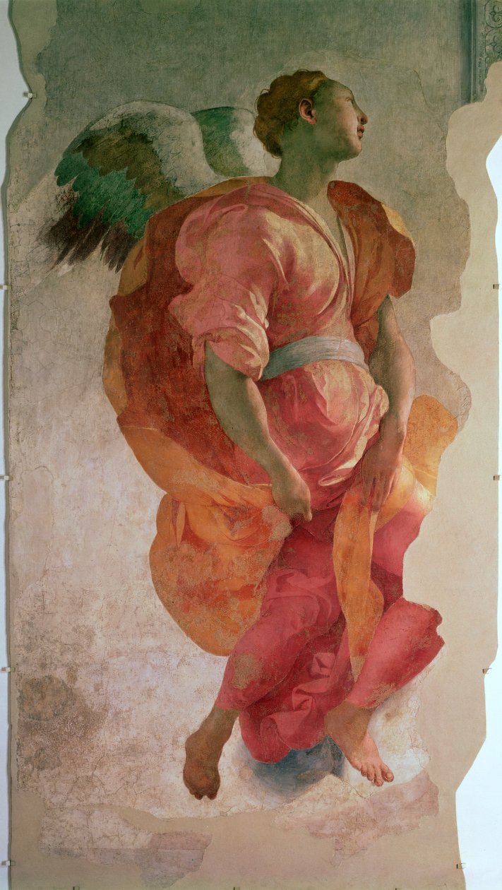 Bebudelsen, detalje af en engel, ca. 1527 freskodetalje af 57520, se også 94965 af Jacopo Pontormo