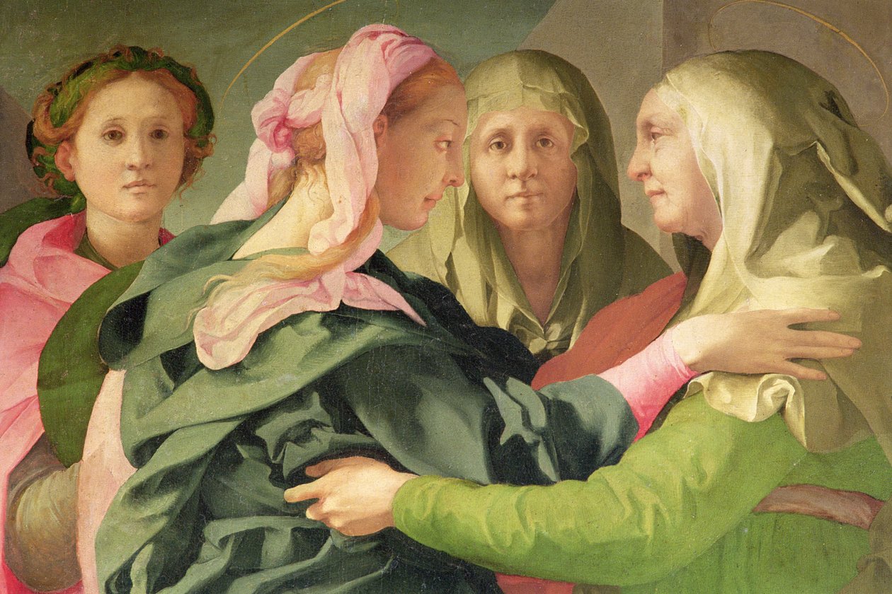 Besøgsoplysningerne på 60438 af Jacopo Pontormo