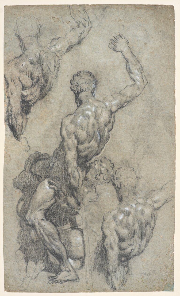 Studier af Michelangelos "Samson and the Philistines", ca. 1575-85 (kridt, trækul, gouache, papir) af Jacopo Robusti (workshop of) Tintoretto