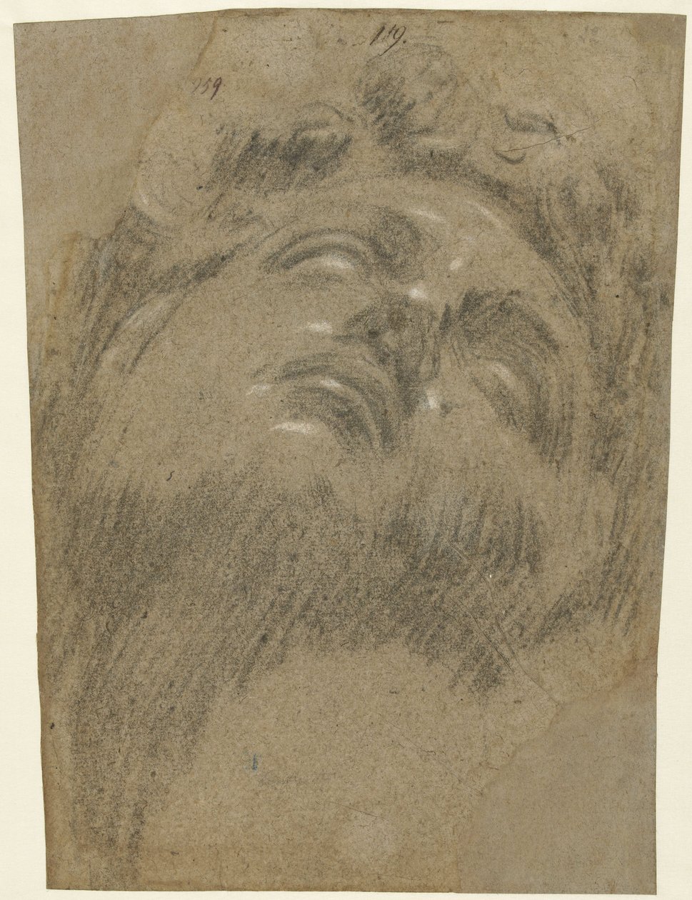 Giuliano dei Medici efter Michelangelo, ca. 1550 (kridt på papir) af Jacopo Robusti Tintoretto