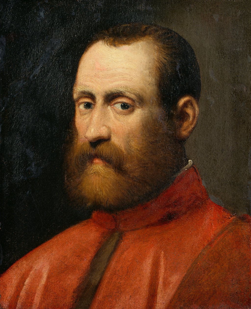 Portræt af en prokurator (olie på lærred) af Jacopo Robusti Tintoretto