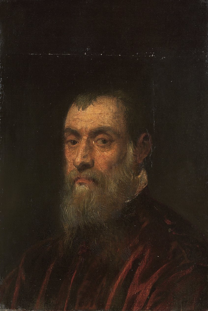 Portræt af en skægget mand, med brystlængde, i en rød kjole af Jacopo Robusti Tintoretto