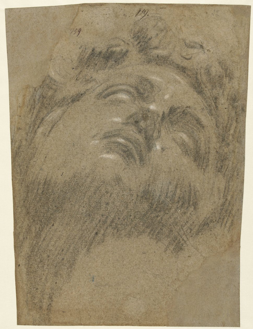 Hoved af Giuliano dei Medici af Jacopo Tintoretto
