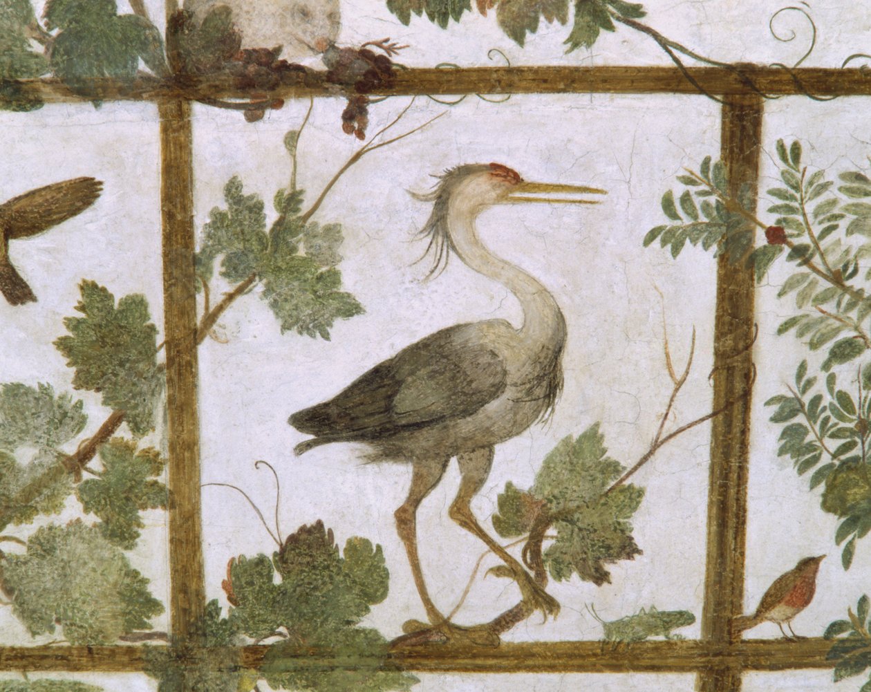 Ibis, fra en fresko af en voliere i Villa Medici, ca. 1576-77 af Jacopo Zucchi