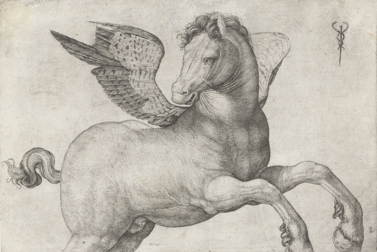 Pegasus, 1509-16 af Jacopo de Barbari