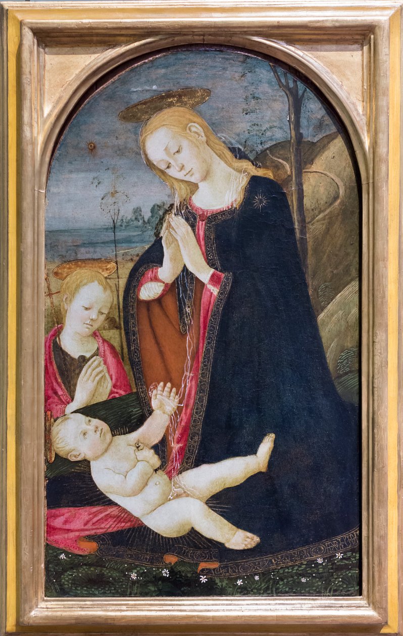 Tilbedelse af Kristus med den unge Johannes Døberen af Jacopo del Sellaio