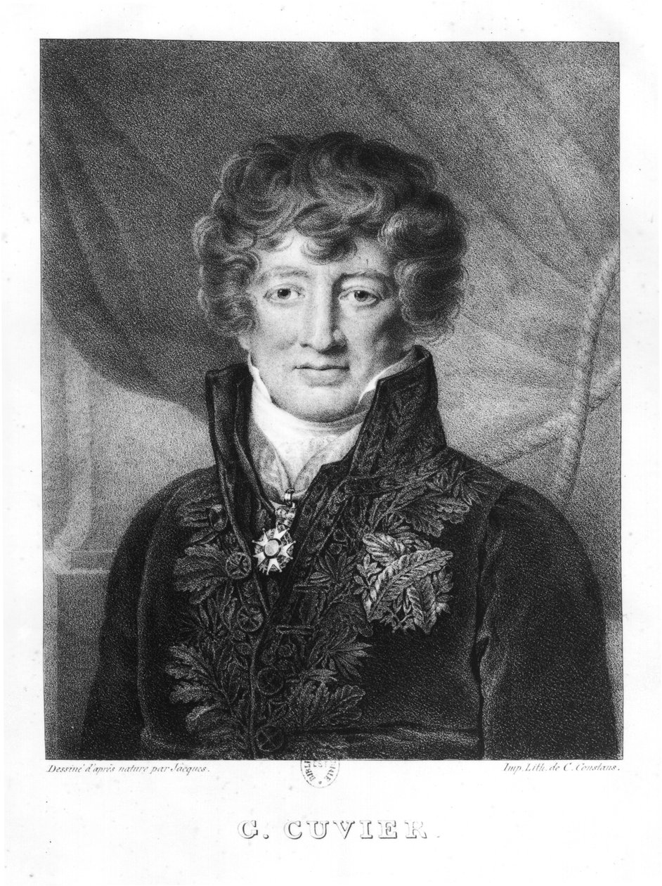 Portræt af Georges Cuvier (1769-1832) af Jacques