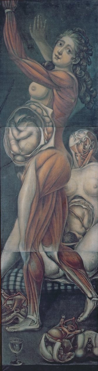 Anatomisk undersøgelse af to gravide kvinder (mezzotint) af Jacques Fabien Gautier d