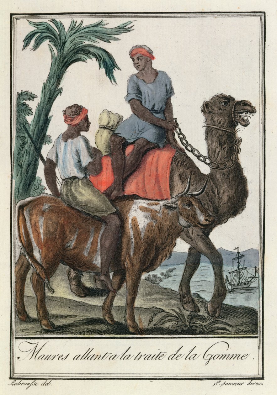 Moores handel med tyggegummi (Mauretanien eller Senegambia), fra 