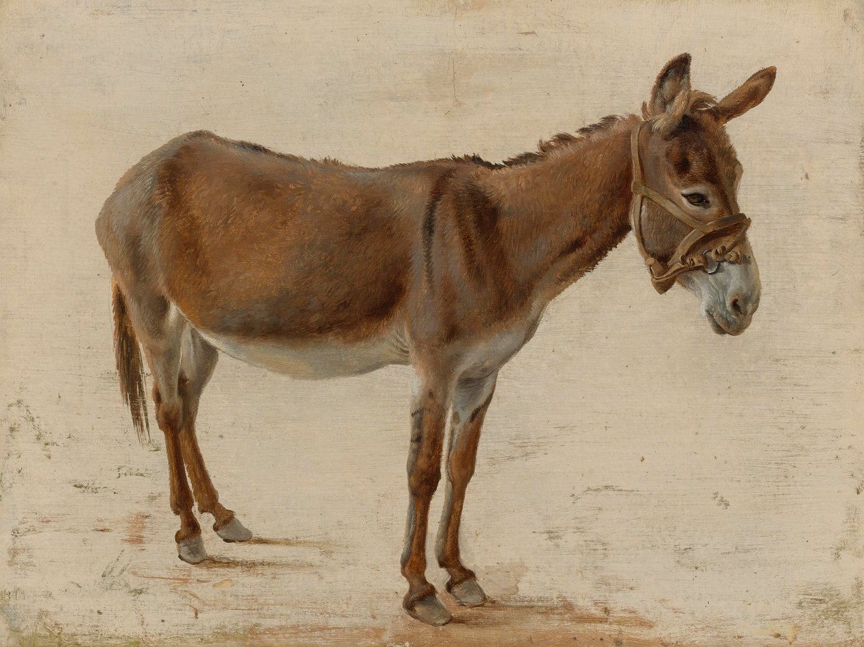 Et æsel af Jacques Laurent Agasse