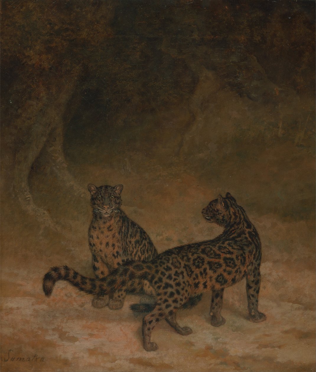 Overskyede leoparder af Jacques Laurent Agasse