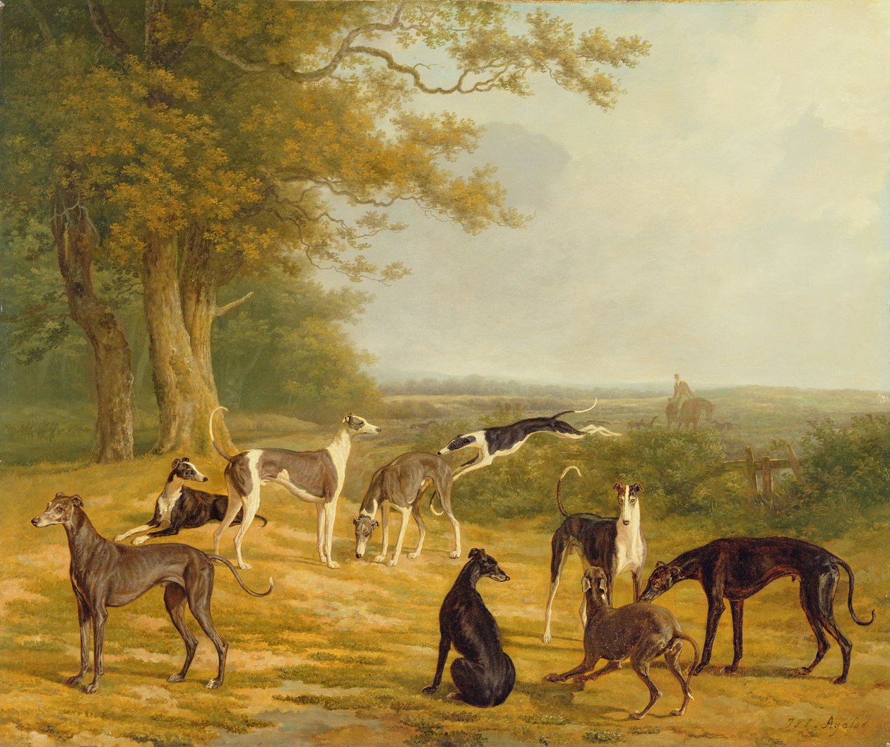 Ni Greyhounds i et Landskab af Jacques Laurent Agasse