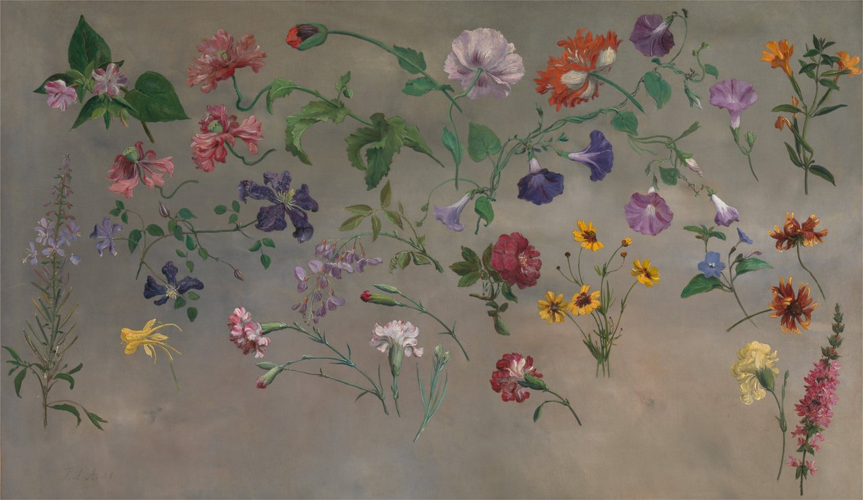 Studier af blomster af Jacques Laurent Agasse