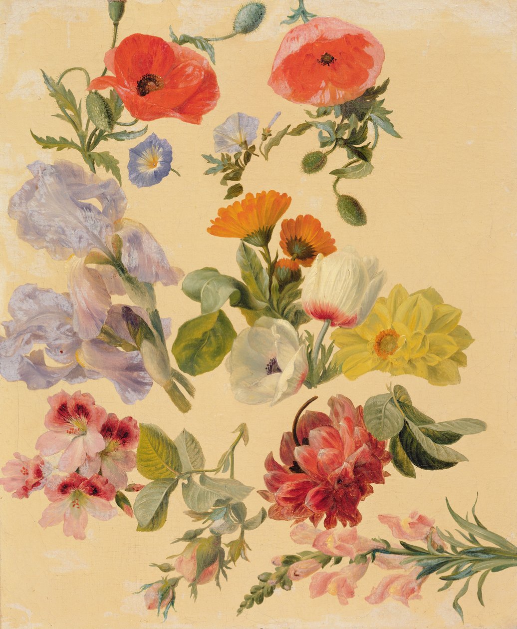 Studier af sommerblomster af Jacques Laurent Agasse