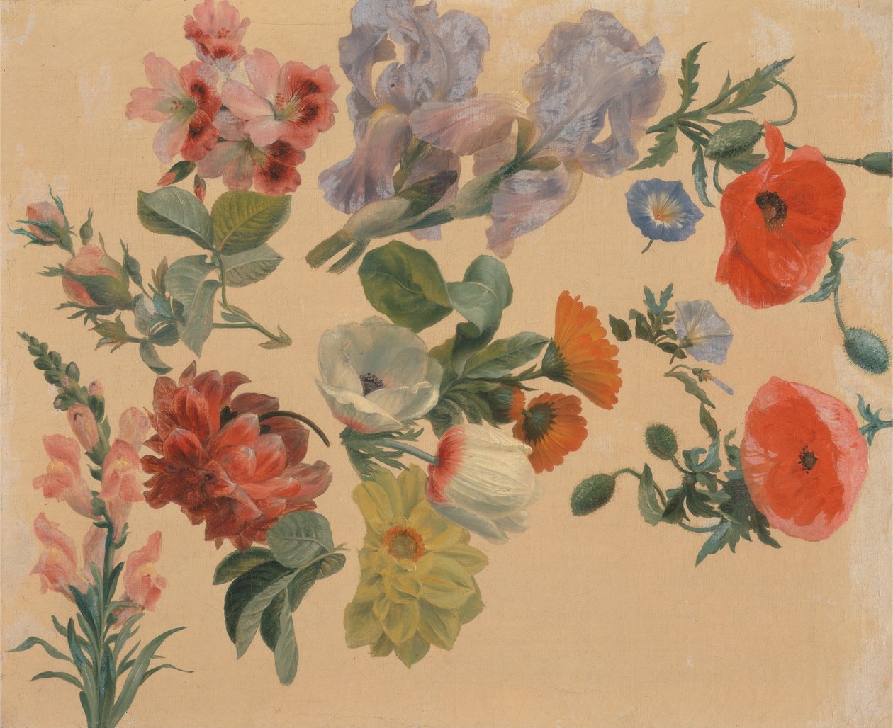 Studier af sommerblomster af Jacques Laurent Agasse