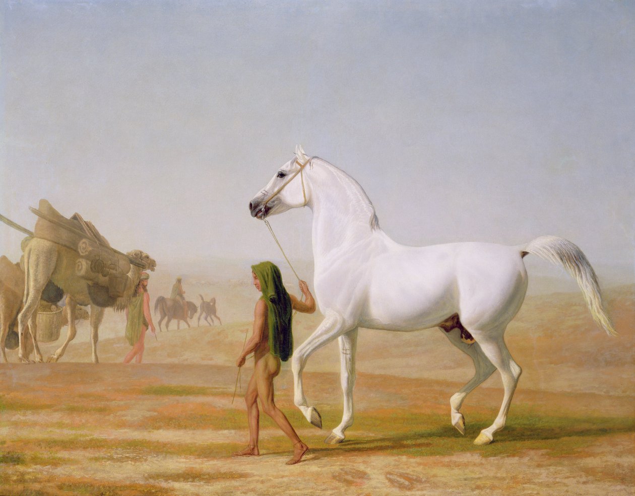 Wellesley Grey Arabian førte gennem ørkenen, ca. 1810 af Jacques Laurent Agasse