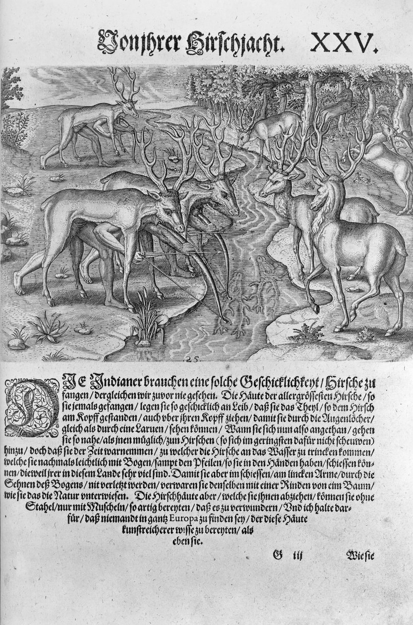 Florida-indianere, der jager hjorte, mens de er forklædt under hjorteskind, fra 