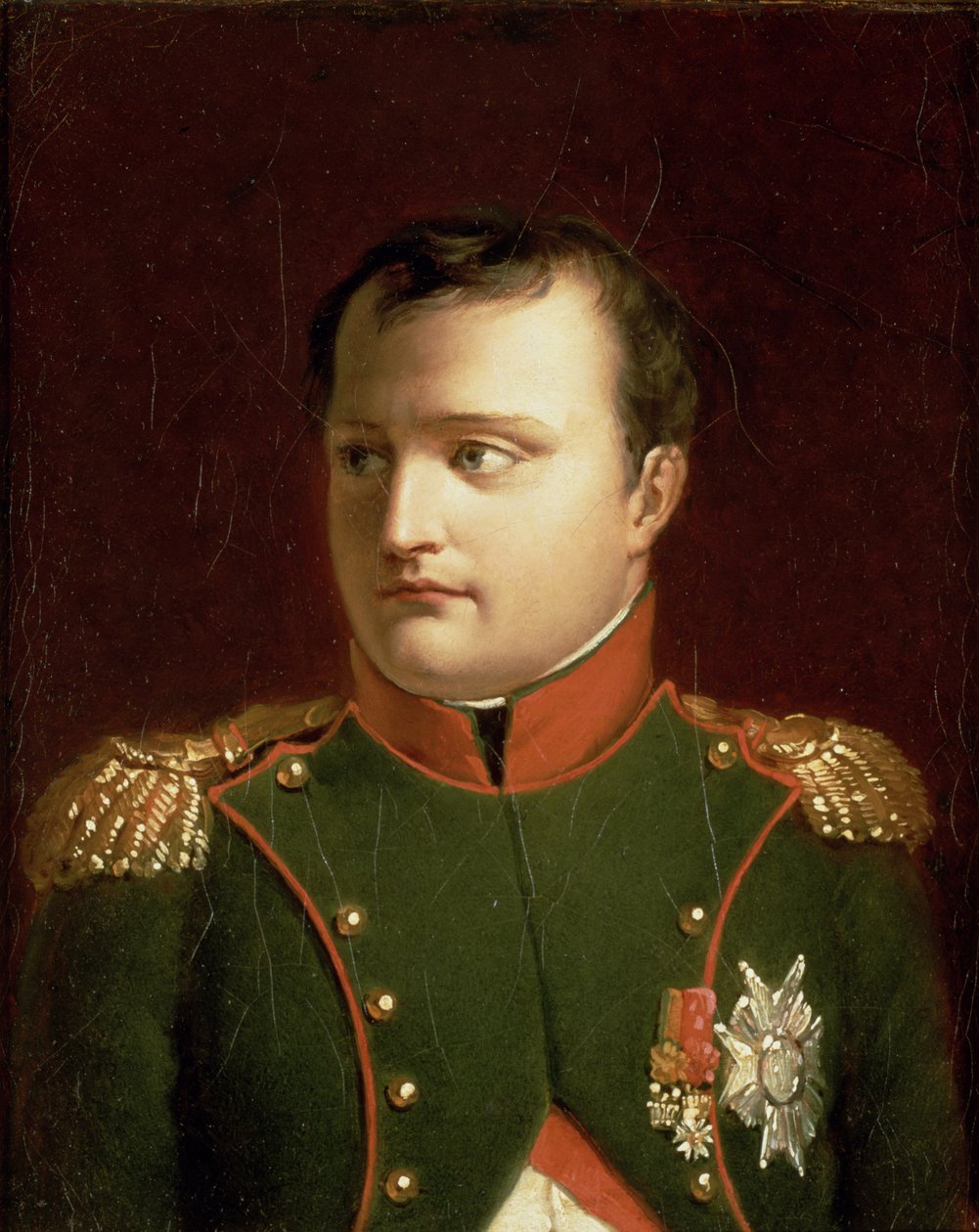 Napoleon Bonaparte (1769-1821) (olie) af Jacques Louis David
