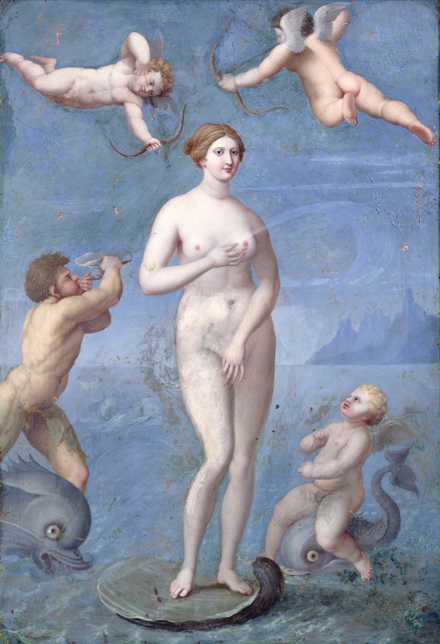 Venus, 1640 (olie og tempera på kobber) af Jacques Stella