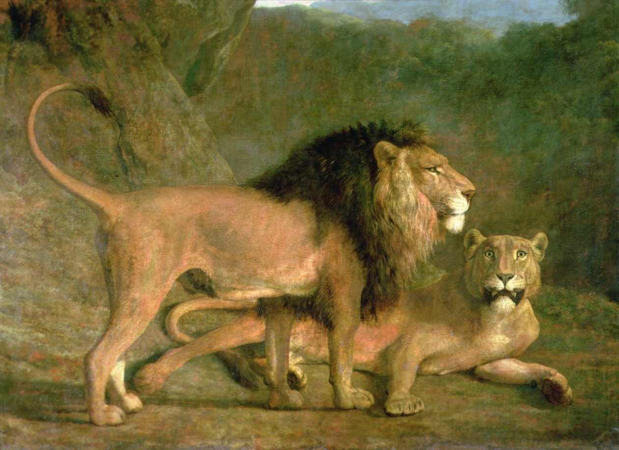 A Lion and a Lioness in a Rocky Valley (olie på lærred) af Jacques Laurent Agasse
