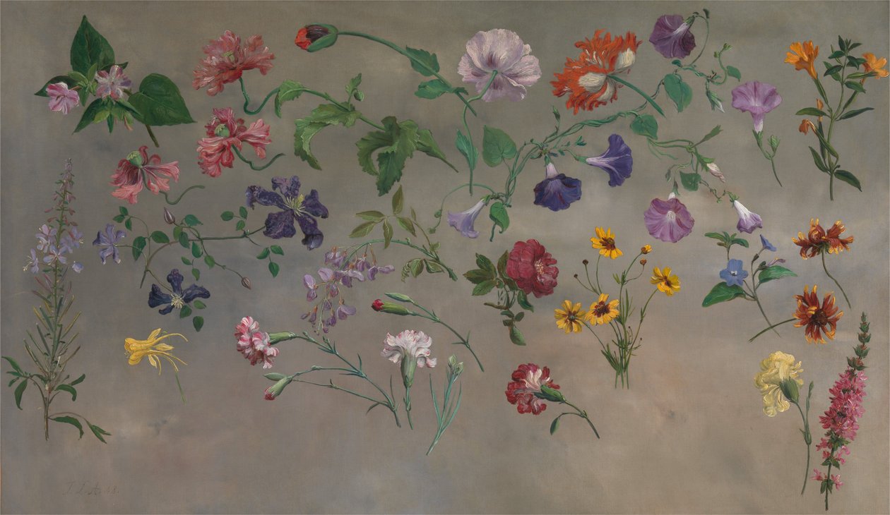 Studies of Flowers [1985, Cormack, YCBA Concise Catalogue] af Jacques-Laurent Agasse