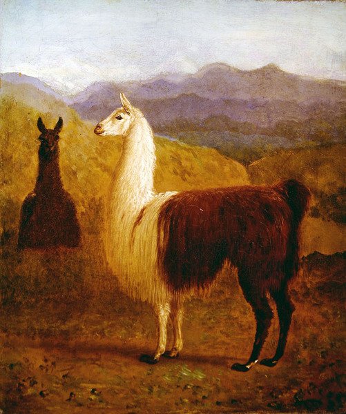 To lamaer (olie på lærred) af Jacques-Laurent Agasse