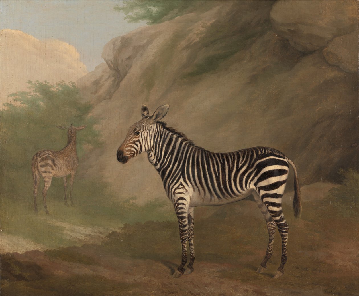Zebra af Jacques-Laurent Agasse