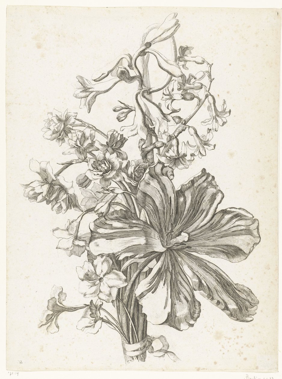 Buket med en tulipan, en hyacint, brodiaea og påskeliljer Diverse Fleurs mises en Boucquets (serietitel) af Jacques Bailly (I)