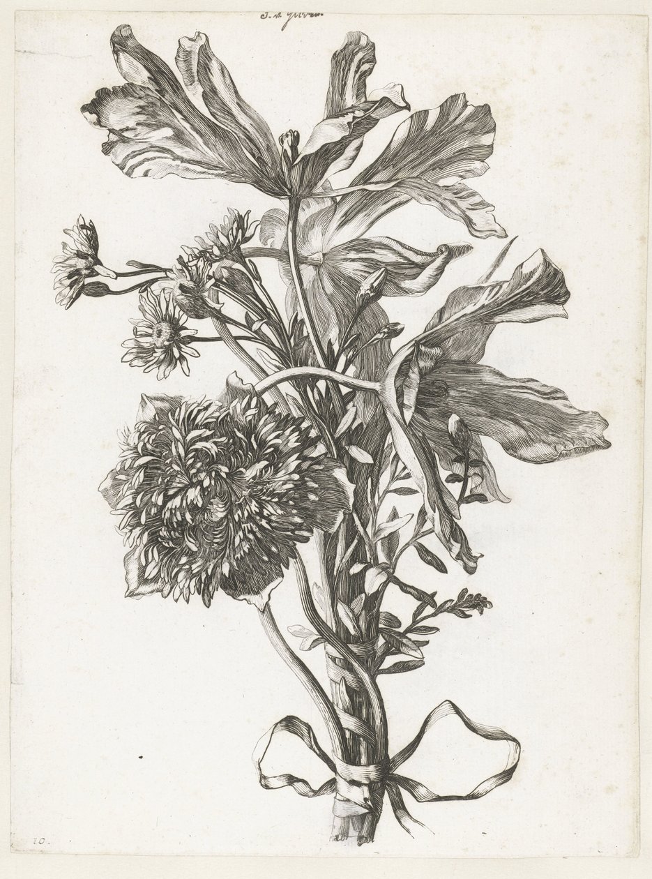 Buket med falmede tulipaner, en anemone og immorteller Diverse Fleurs mises en Boucquets (serietitel) af Jacques Bailly (I)