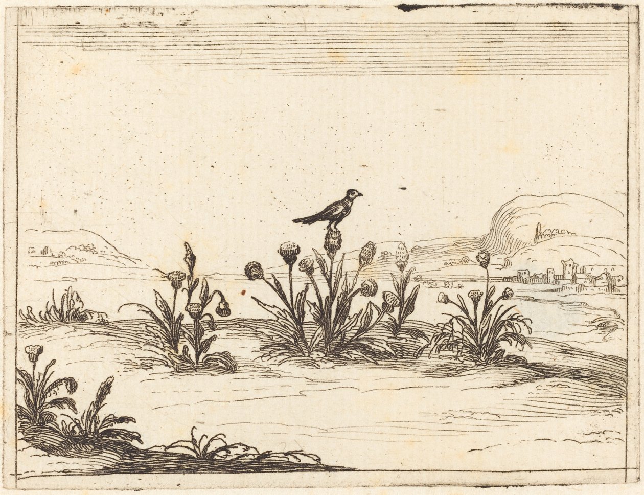 Fugl sat i en tidsel af Jacques Callot