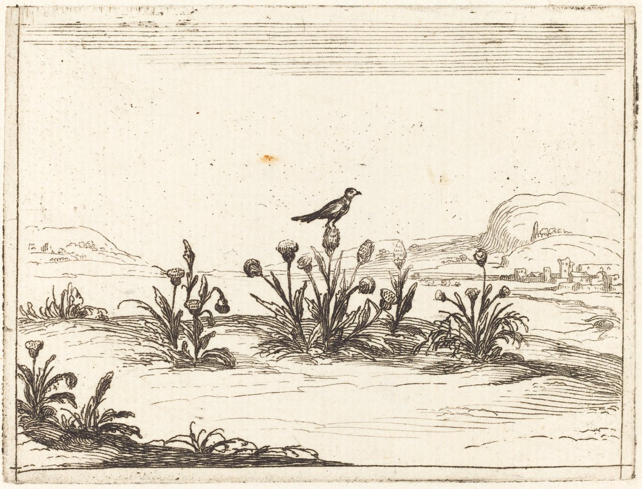 Fugl, der sidder på en tidsel af Jacques Callot