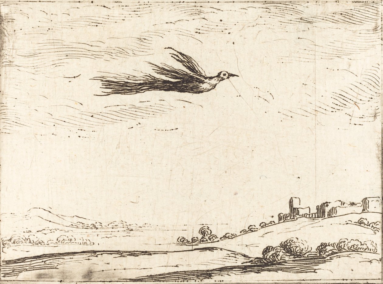 Paradisfugl af Jacques Callot