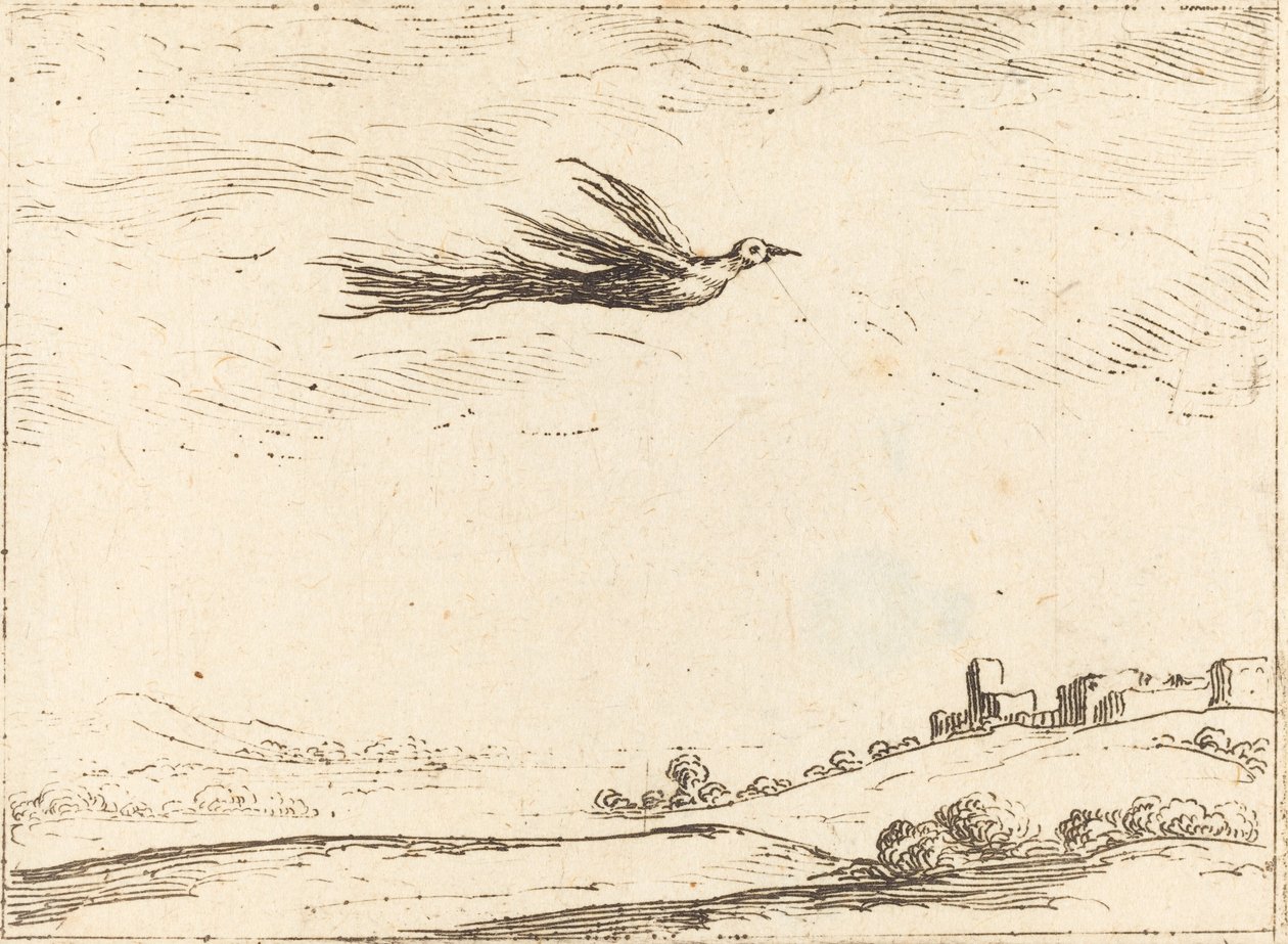 Paradisfugl af Jacques Callot