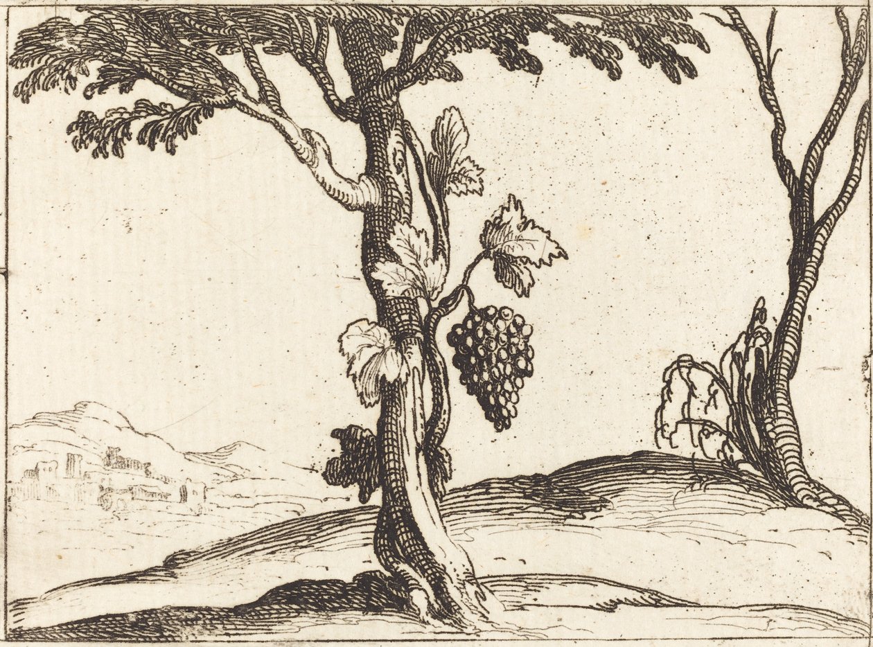 Klase druer af Jacques Callot