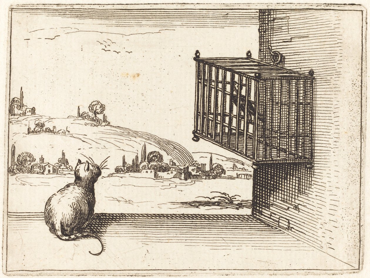 Kat ser på burfugl af Jacques Callot