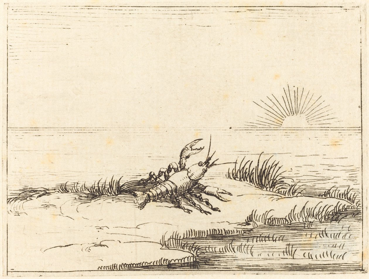 Krebs ser på solen af Jacques Callot