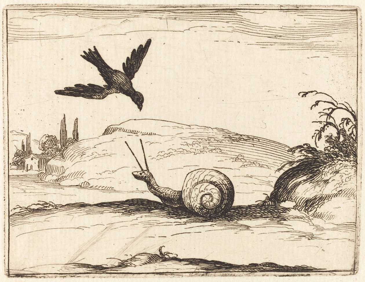 Krage og snegl af Jacques Callot