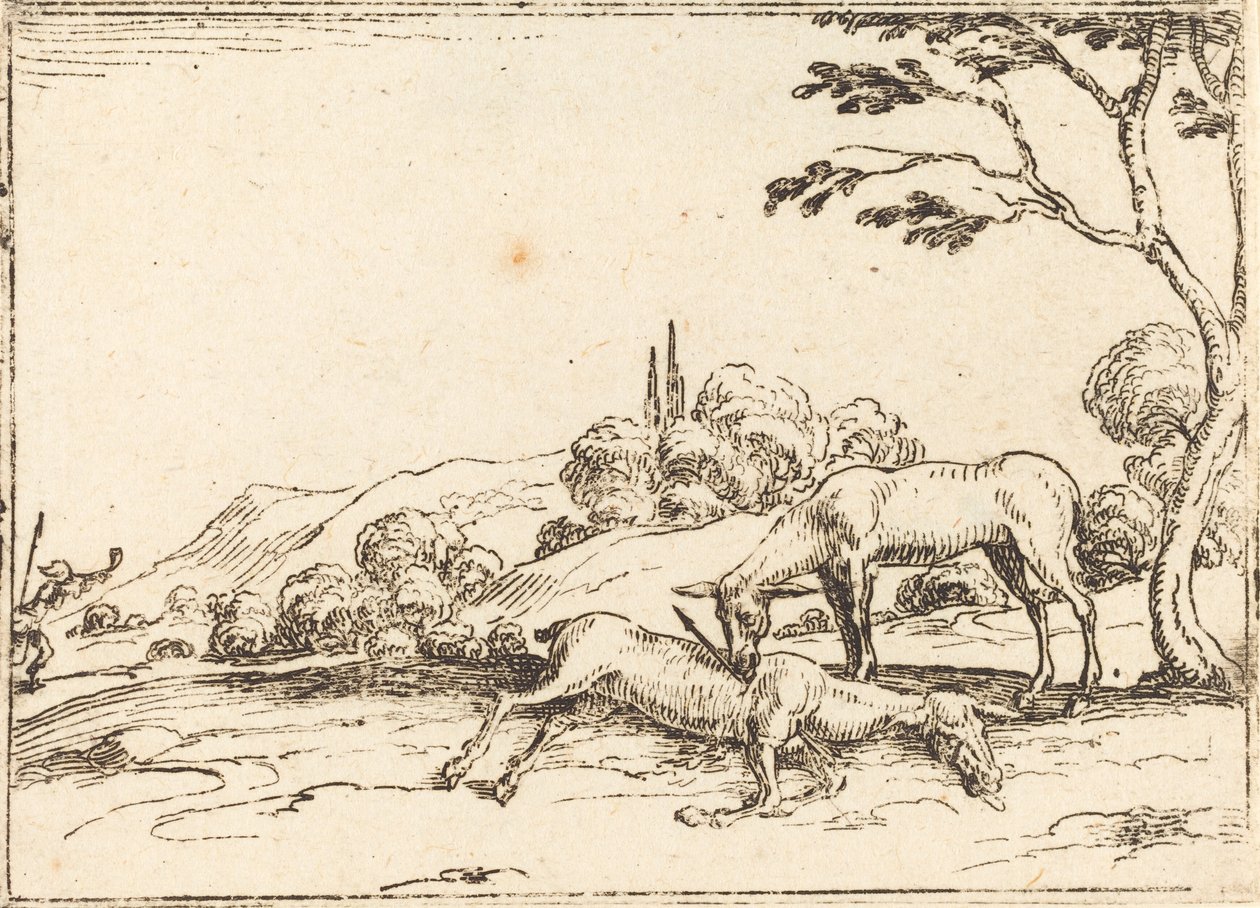 Doe sørger over sit føl. af Jacques Callot