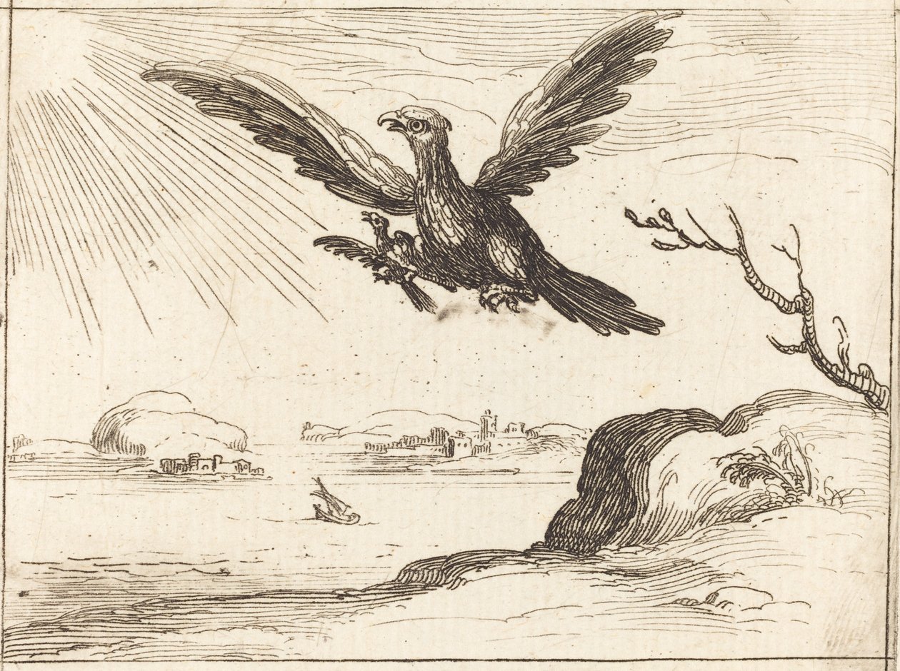 Eagle og Young af Jacques Callot