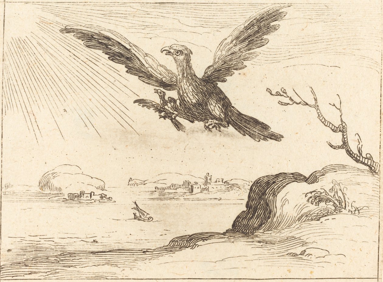 Eagle og Young af Jacques Callot