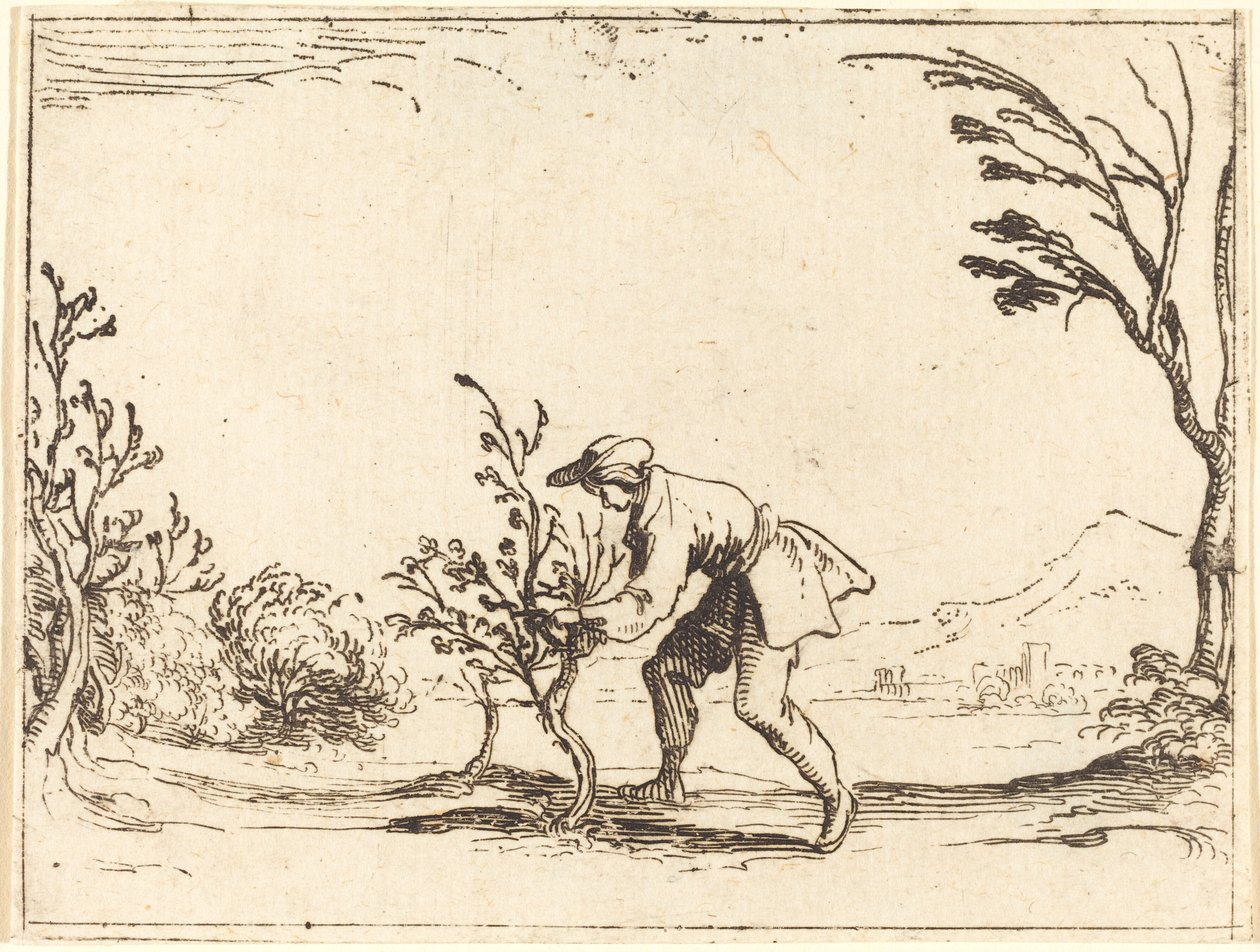 Mand skærer et balsam-træ af Jacques Callot