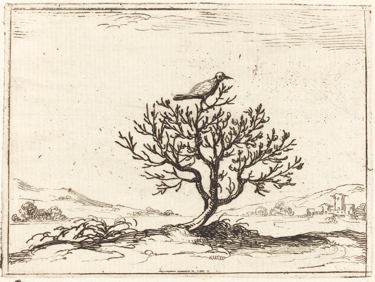 Nattergal i en busk af Jacques Callot