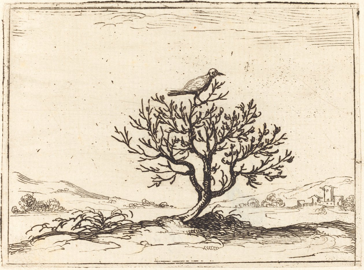 Nattergal i en busk, 1628. af Jacques Callot