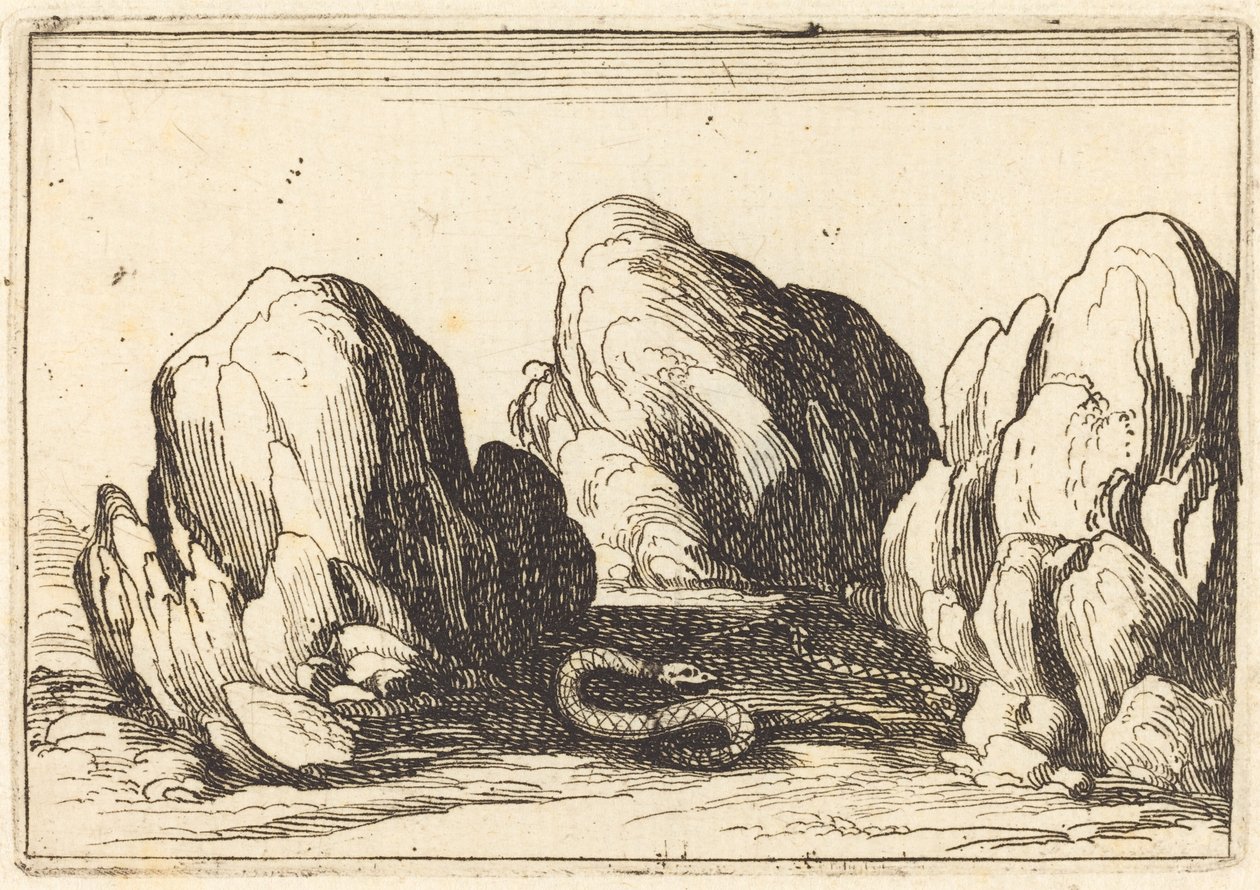 Slange, 1628. af Jacques Callot