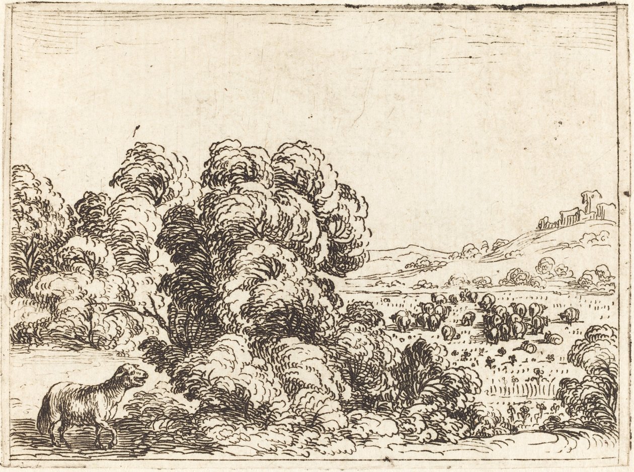 Får kalder lam af Jacques Callot