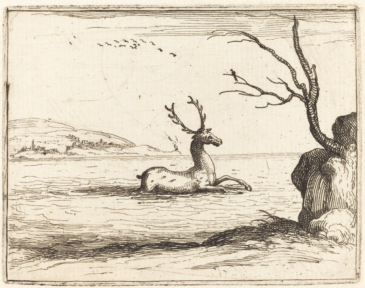 Hjort i vandet af Jacques Callot