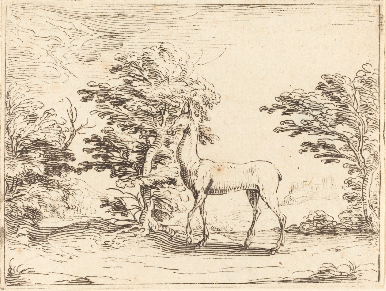 Doe af Jacques Callot