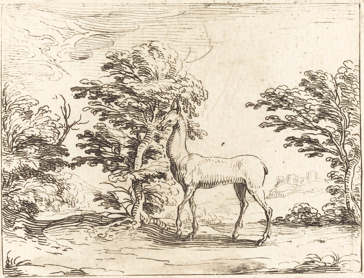 Doe af Jacques Callot
